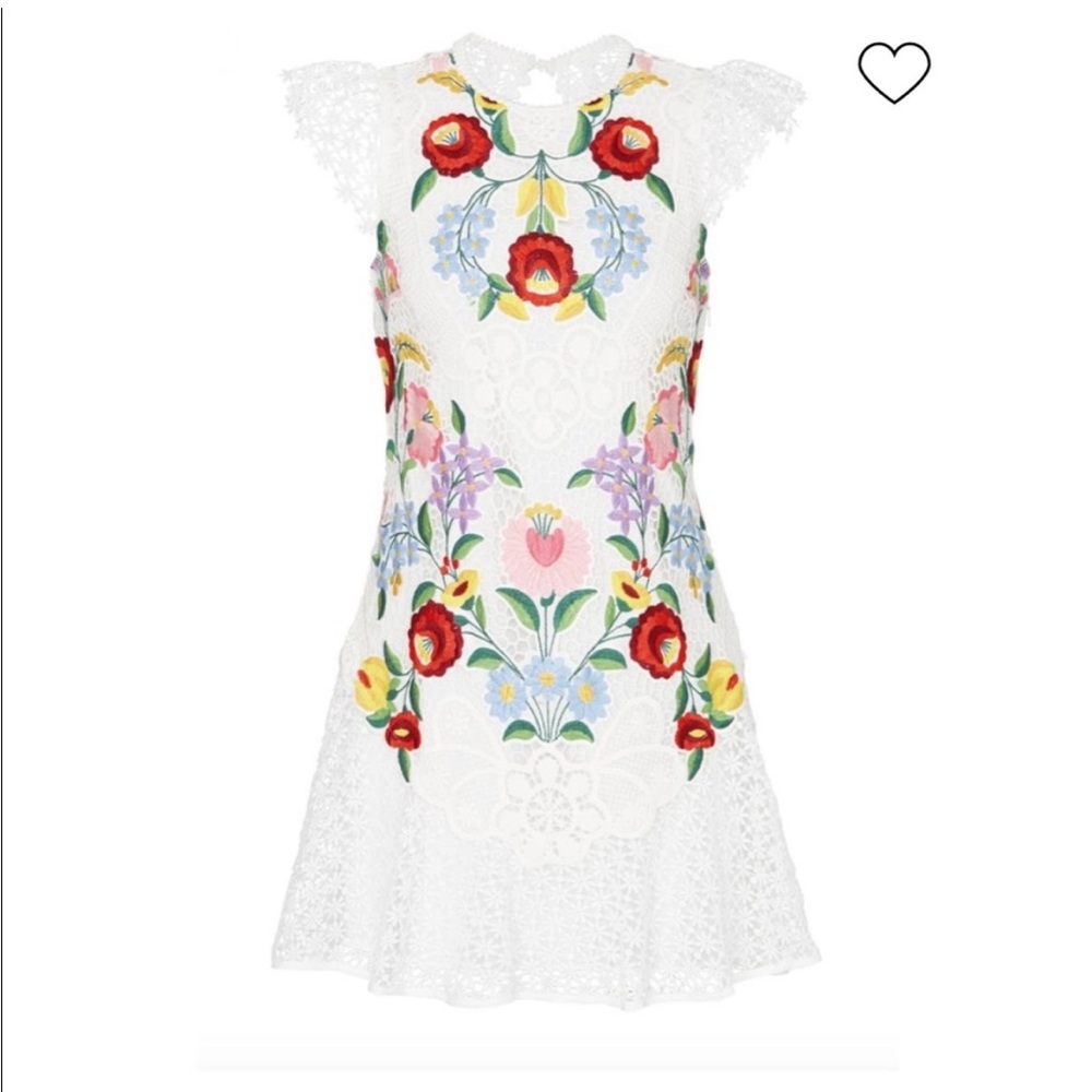 Saylor embroidered lace dress size small